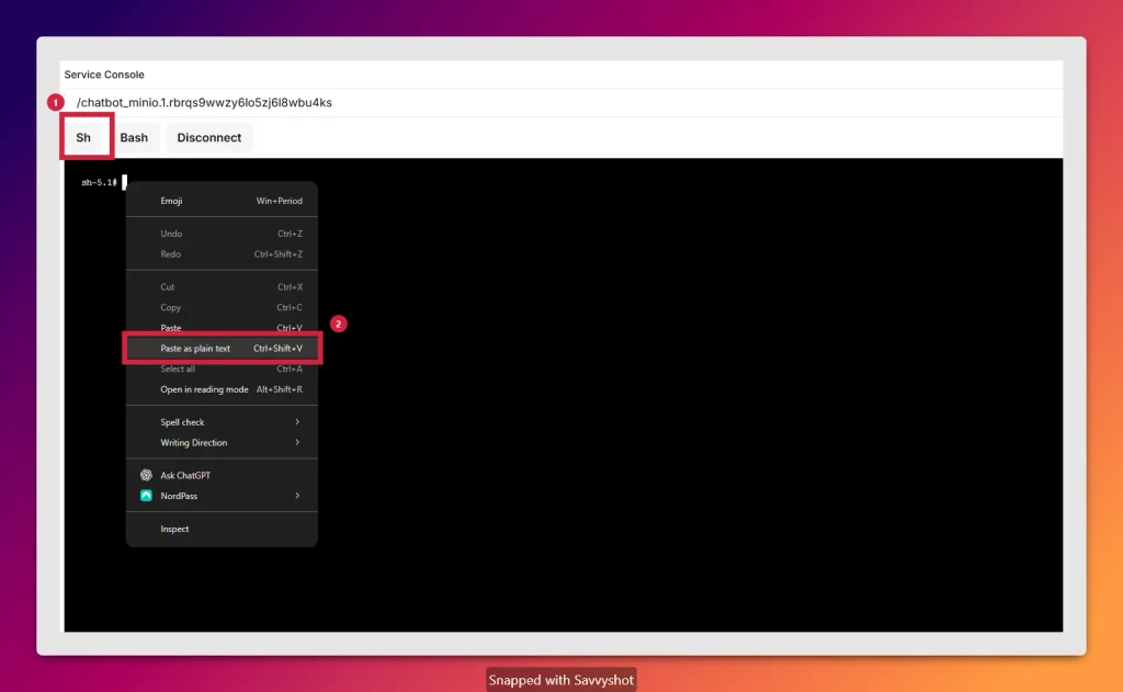 Install Typebot on a VPS by opening the MinIO Sh service console