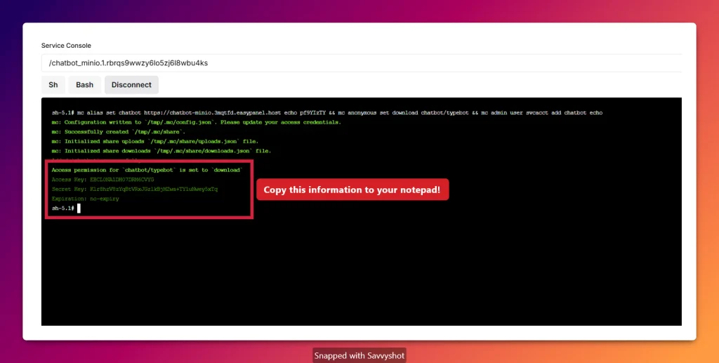 Install Typebot on a VPS using example MinIO access and secret keys